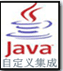 自定义集成(Java指南)