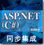 自定义登录页面集成(ASP.net C#指南)